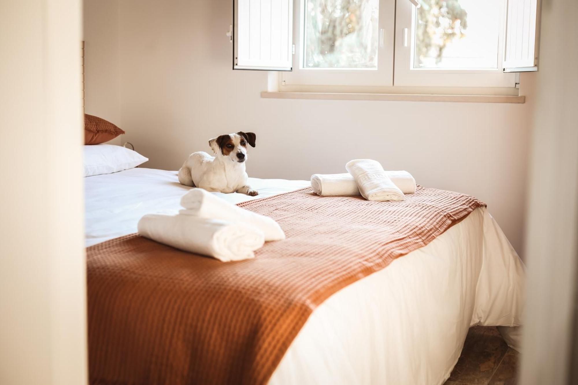 Quinta Das Cacadoras - Animal Lovers Only Palmela Ngoại thất bức ảnh